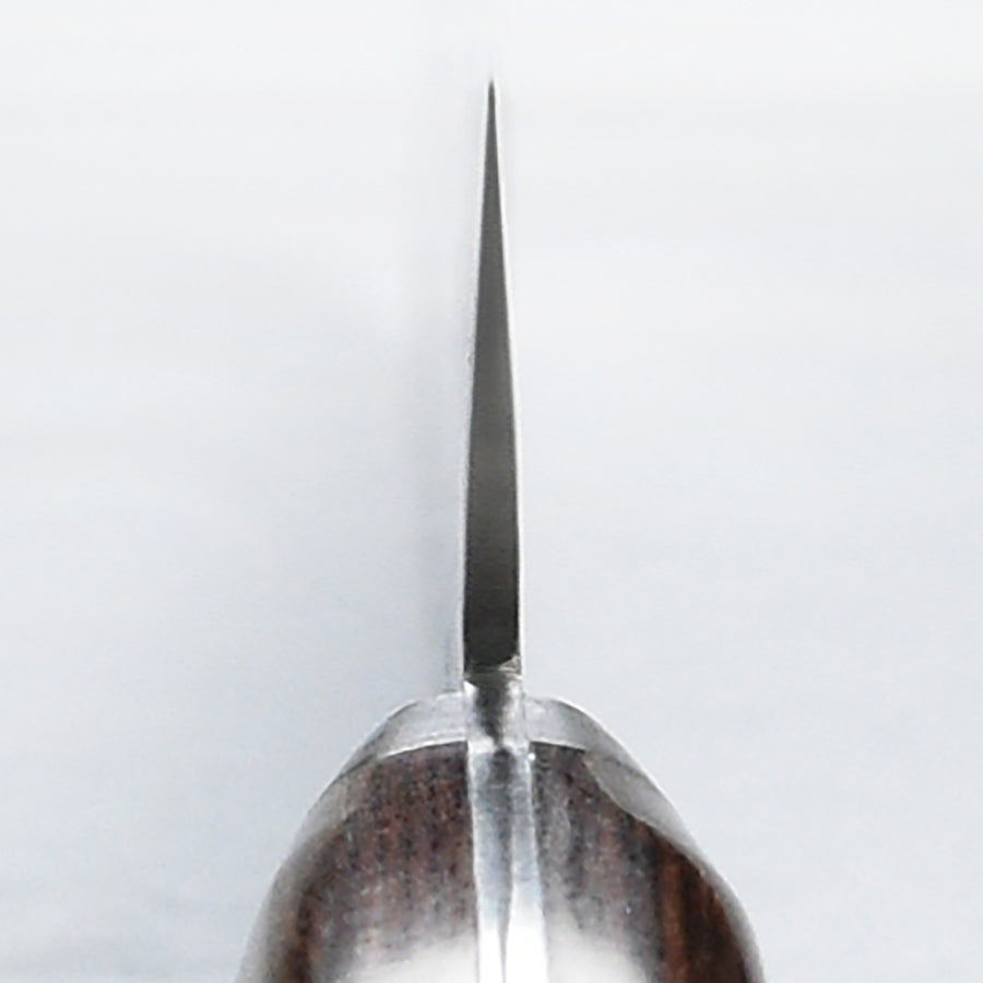 Ittetsu VG10 Hammered Damascus 9.4" Sujihiki
