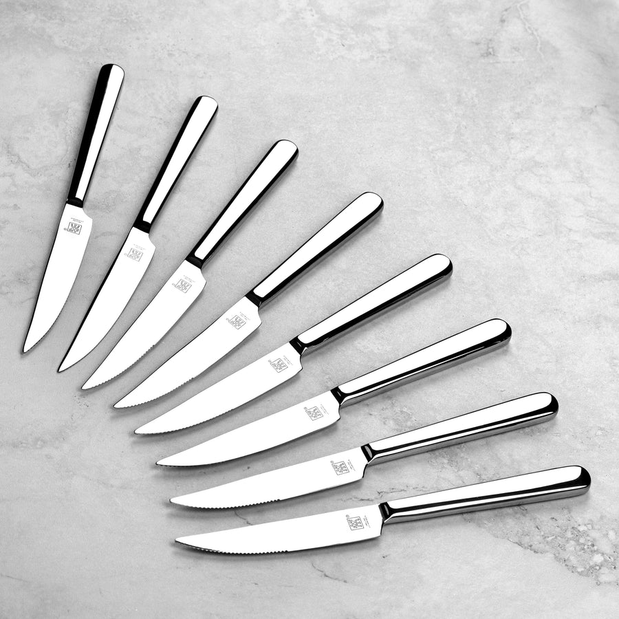 Zwilling 8 Piece Contemporary Stainless Steel Steak Knife Set with Case