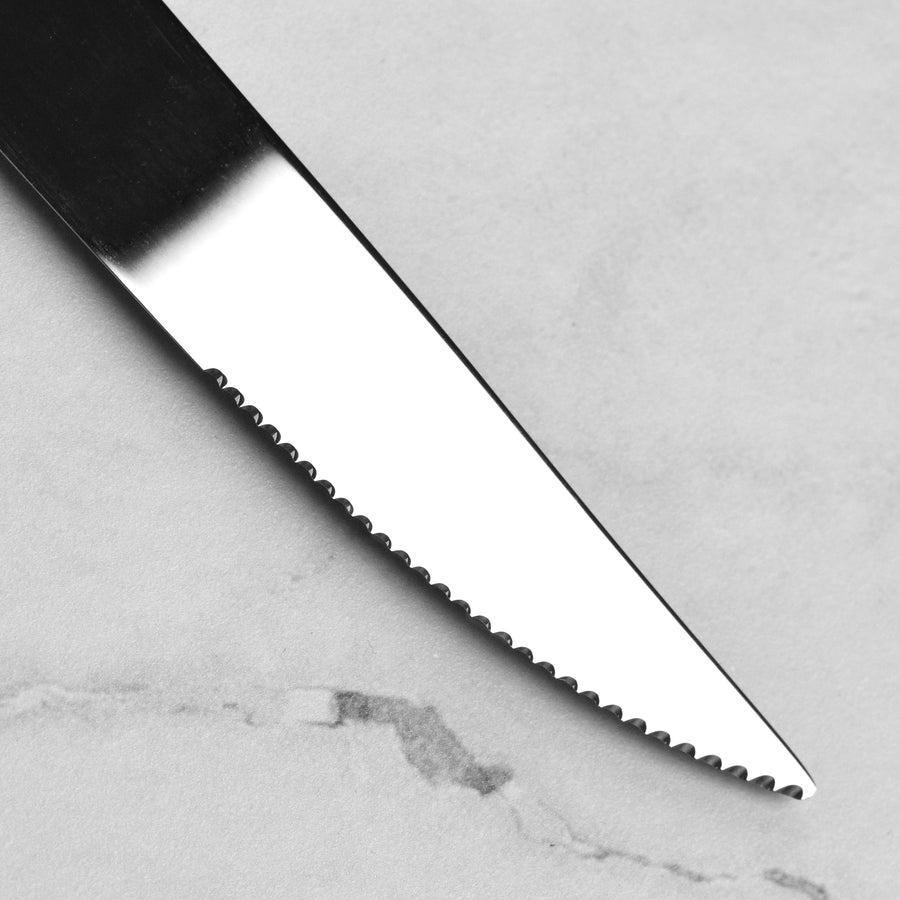 Zwilling 8 Piece Contemporary Stainless Steel Steak Knife Set with Case
