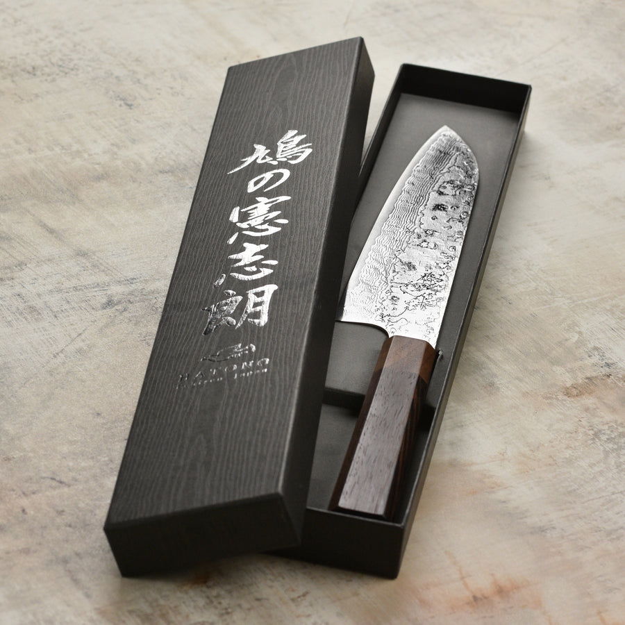 Hatono SG2 Sapphire Damascus Gyuto