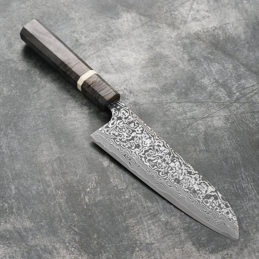 Takeshi Saji Santoku Knife SG2 Damascus