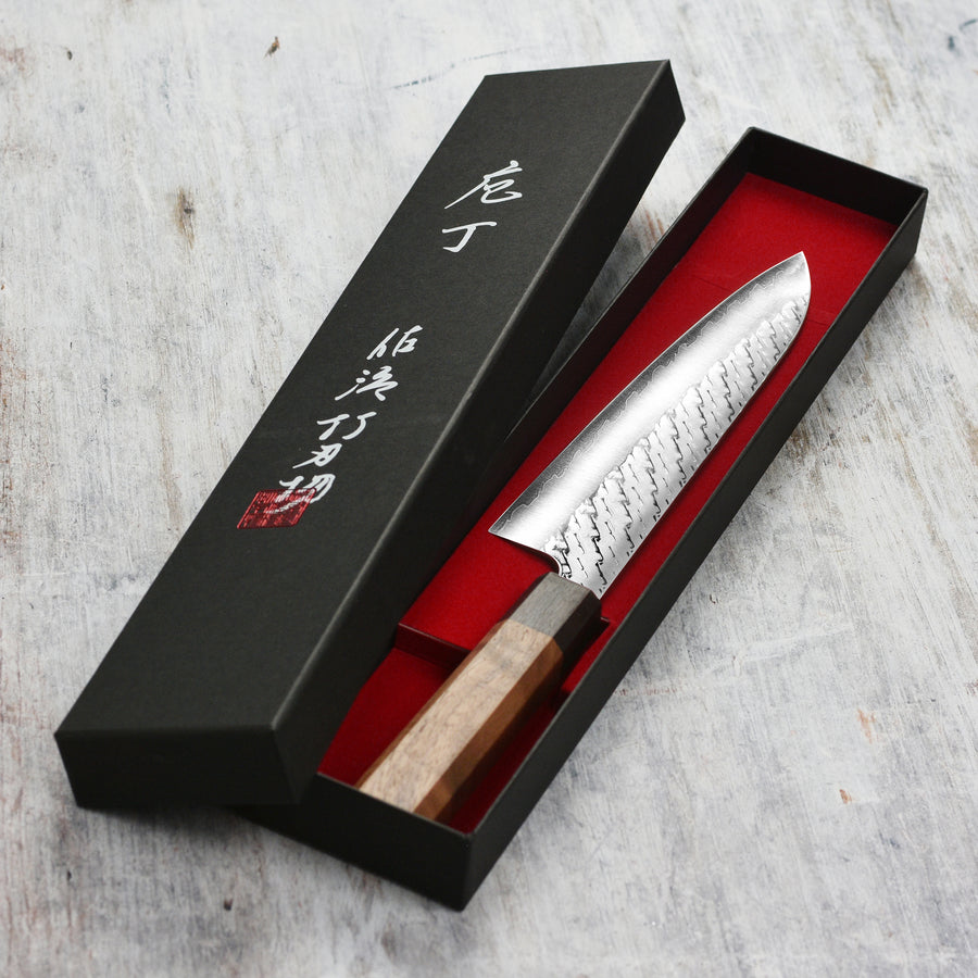 Japanese Chef's Knife by Takeshi Saji