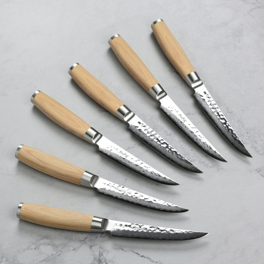 Enso Hizashi 6 Piece Steak Knife Set with Case