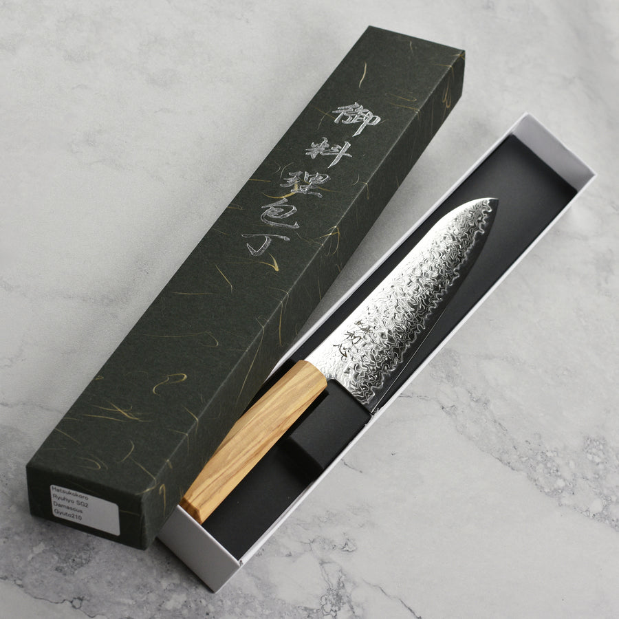 Hatsukokoro Ryuhyo SG2 Damascus 8.25" Gyuto