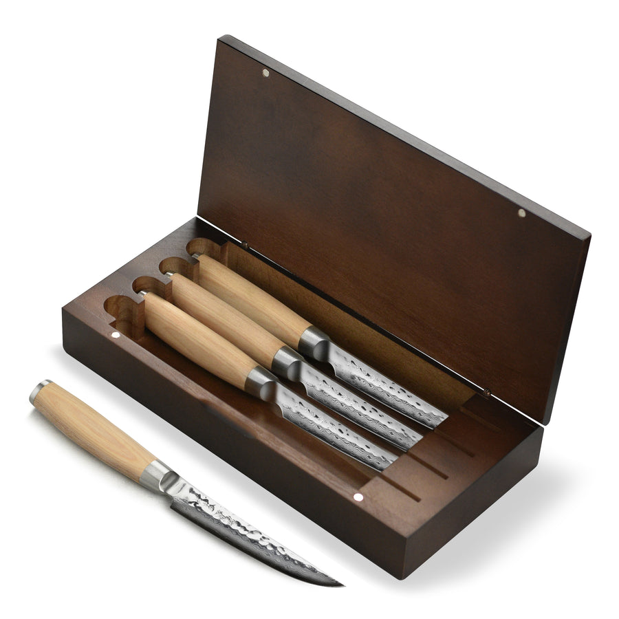 Enso Hizashi 4 Piece Steak Knife Set with Case