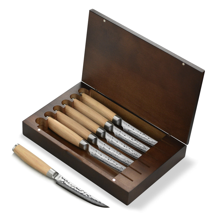 Enso Hizashi 6 Piece Steak Knife Set with Case
