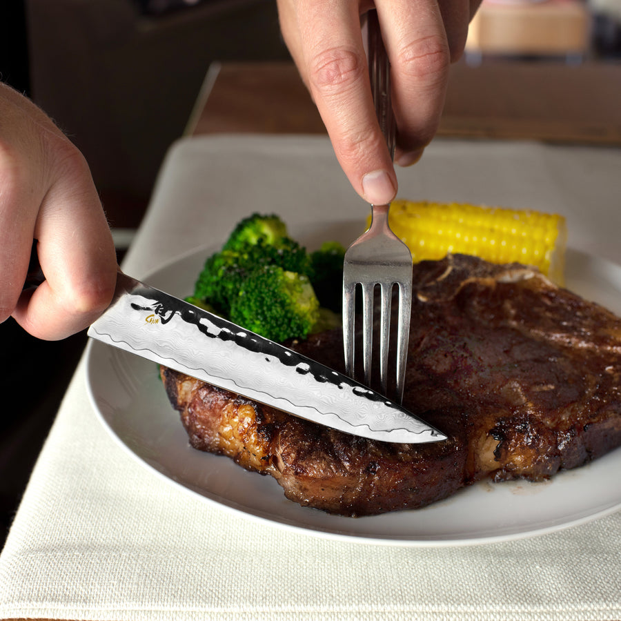 Shun Premier Grey 6 Piece Steak Knife Set with Case