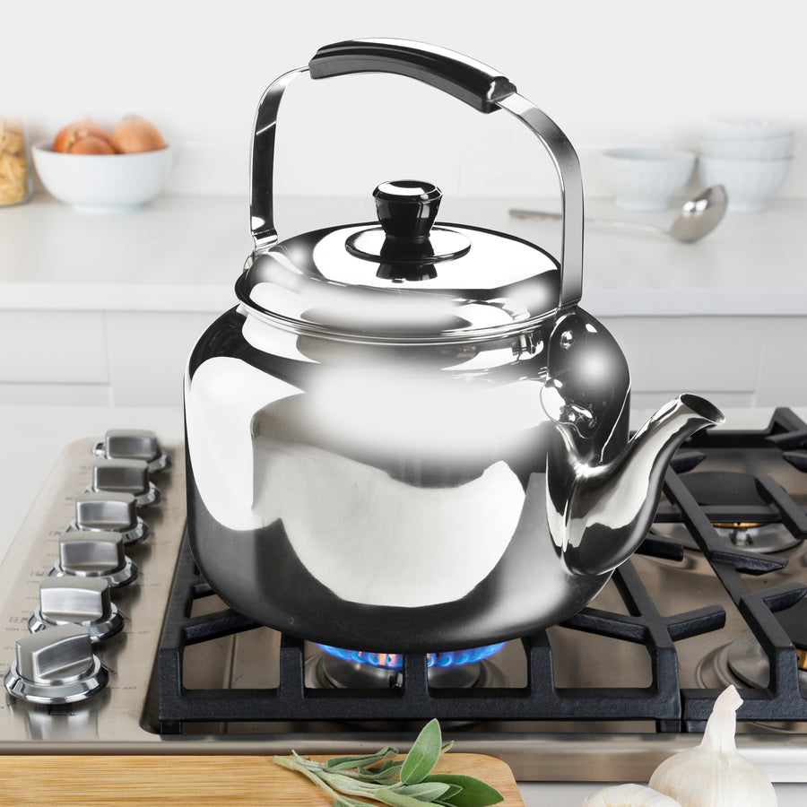 All-Clad Stainless Steel Tea Kettle + Reviews