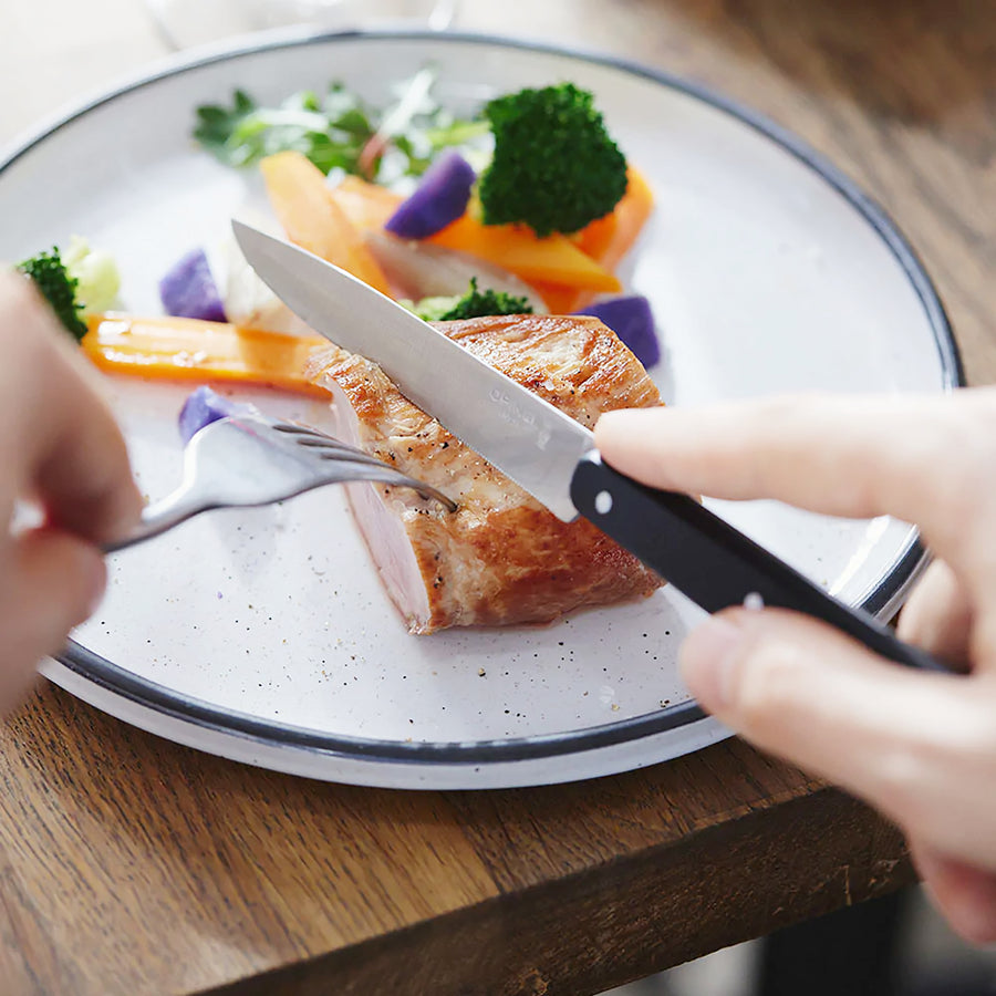Opinel Bon Appétit Series Steak Knife Set 4.5 - Blade HQ
