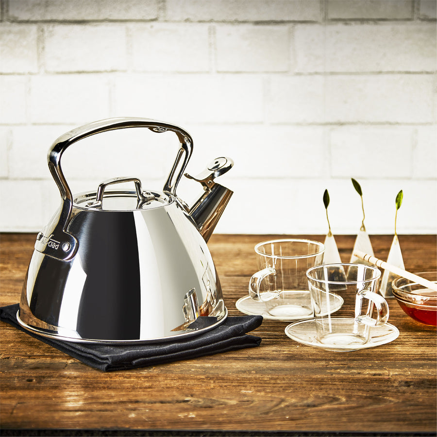 All Clad 2 Quart Stainless Steel Tea Kettle — KitchenKapers