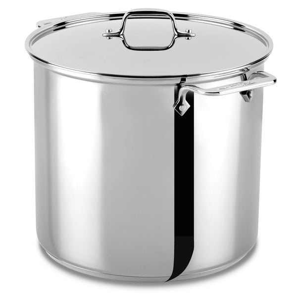 Stainless Clad Stock Pot