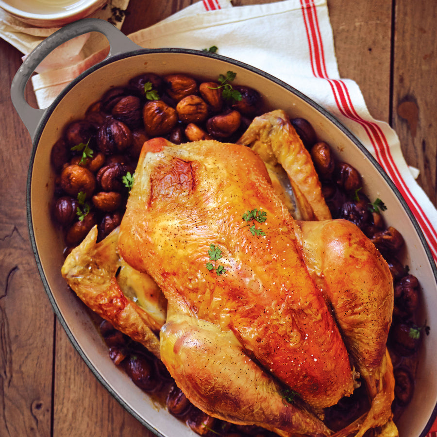 Le Creuset Enameled Cast Iron Signature Oval Dutch Oven, 15.5 qt., Marseille Le Creuset Enameled Cast Iron Signature Oval Dutch Oven, 15.5 qt., Marseille