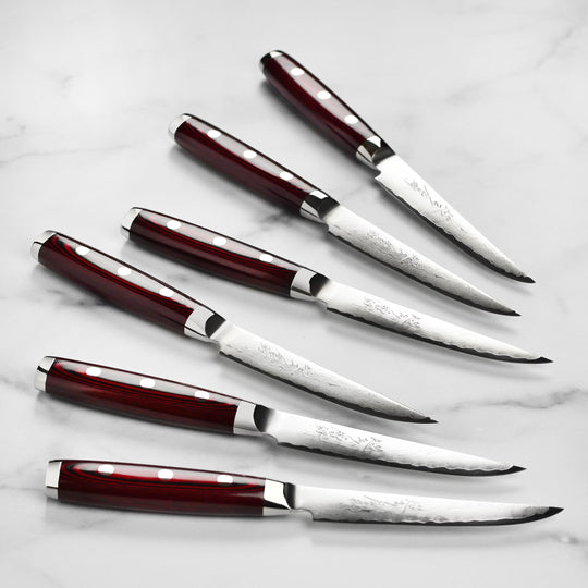Yaxell Super Gou SG2 6 Piece Steak Knife Set